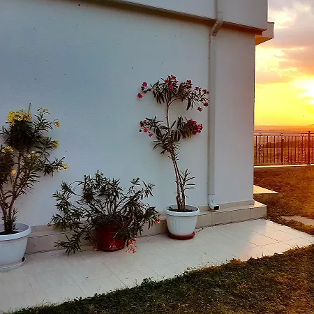 Belvedere بايالا